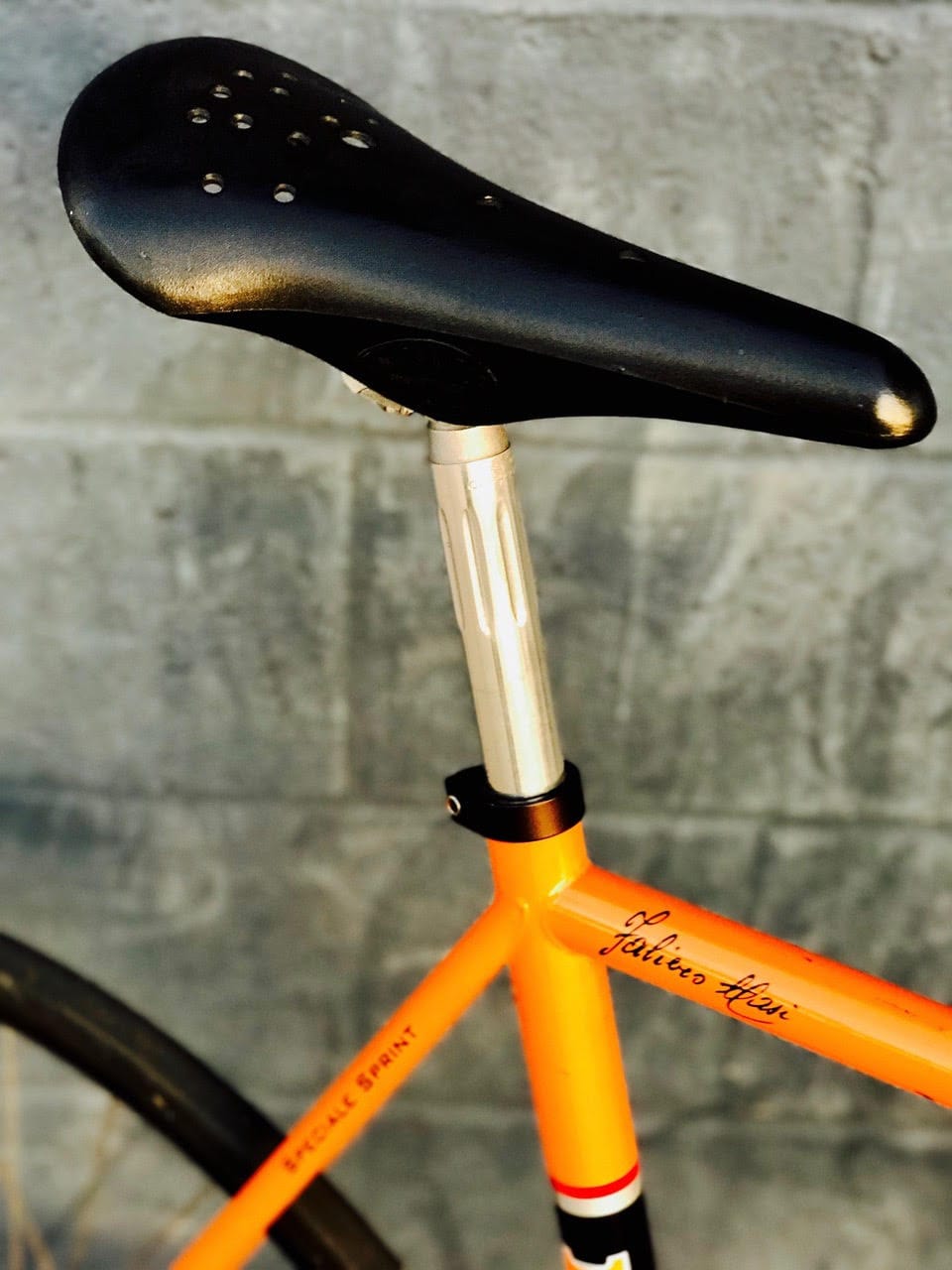 masi saddle